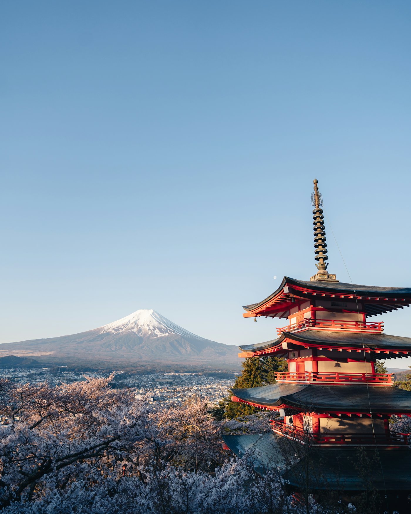 The Chureito Pagoda above blossoming trees, with Mount Fuji behind